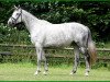 broodmare Herzflieder (Trakehner, 2002, from Gipsy King)