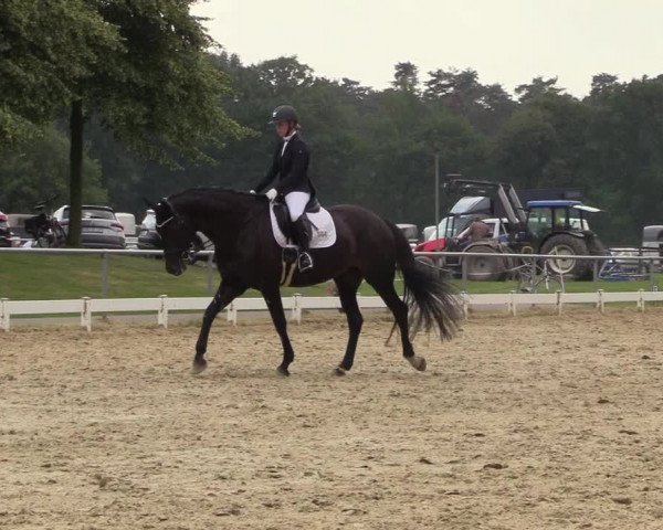 Reitturnier Coesfeld/Lette 2018