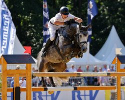 stallion Silver Creek's Validation (Zweibrücken, 2007, from Vallado)