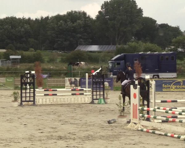 Reitturnier Schülp / Rendsburg 2018