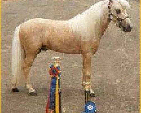 Deckhengst Trios Manilla (American Miniature Horse, 1986, von Bond Humdinger)