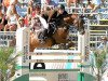 jumper Die-Da E WE (German Riding Pony, 2007, from Three-Stars Dumbledore)