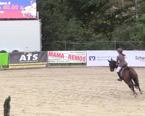 Reitturnier Buchenhof-Ibbenbüren 2018