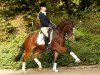 broodmare Tasha (German Riding Pony, 2006, from Timberland)