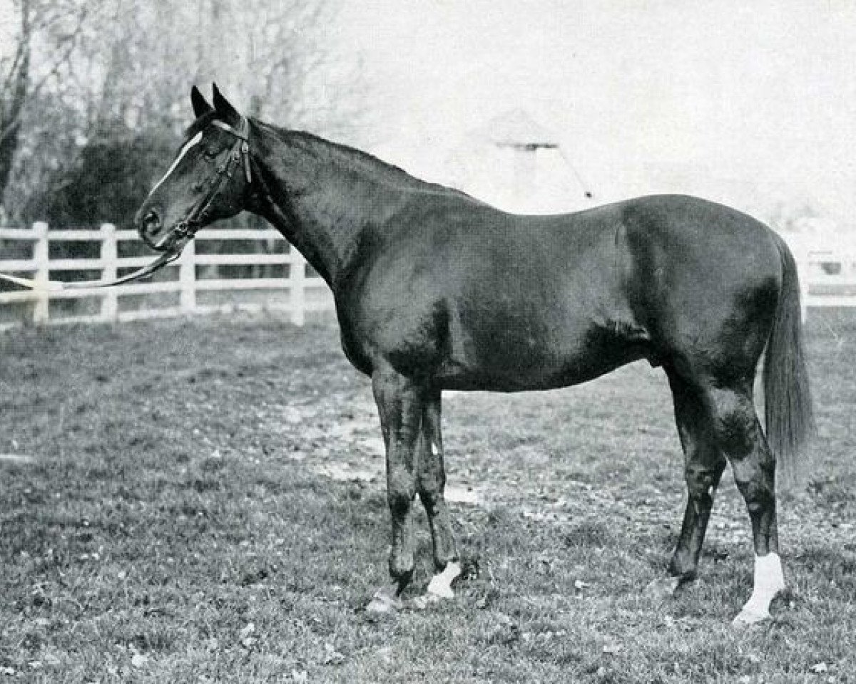 stallion Bishop's Rock xx (Thoroughbred, 1929, from Teddy xx)