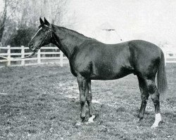 stallion Bishop's Rock xx (Thoroughbred, 1929, from Teddy xx)