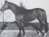 dressage horse Lancaster (Holsteiner, 1966, from Ladykiller xx)