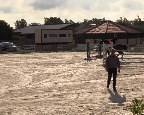 Reitturnier Schülp / Rendsburg 2018