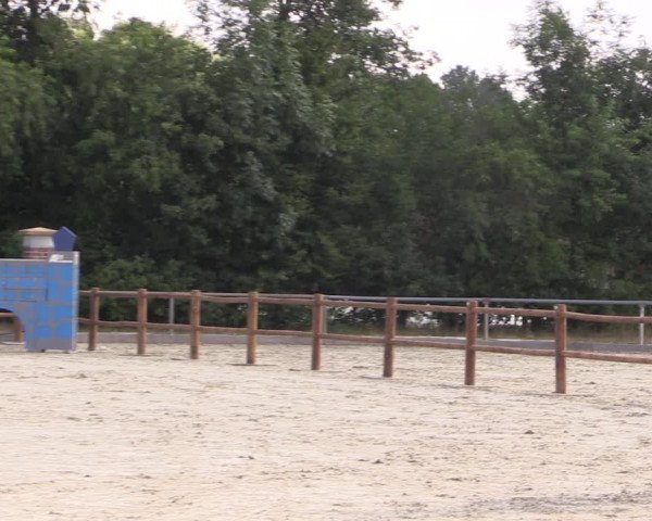 Reitturnier Wietmarschen 2019