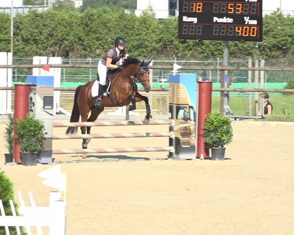 Reitturnier Bättwil 2019