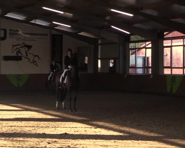 Dohrener Pferdetage 2019
