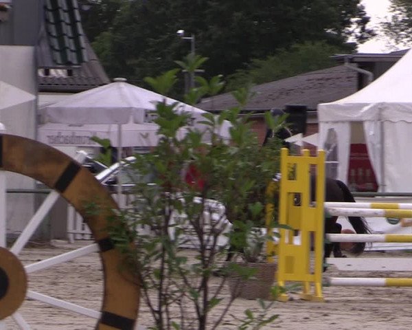 Reitturnier Datteln 2019