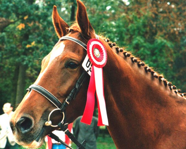 broodmare Alexa (Austrian Warmblood,  , from Latour)