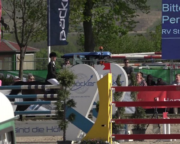 Lenklarer Reitertage 2019
