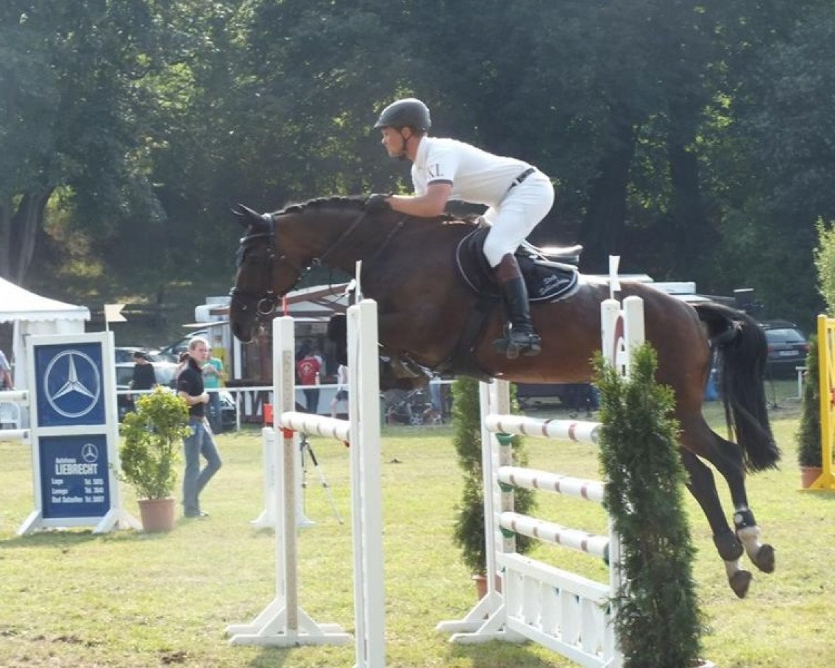 broodmare Nicita 9 (Holsteiner, 2005, from Capone II)