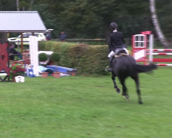 Reitturnier Wedel-Catharinenhof 2019