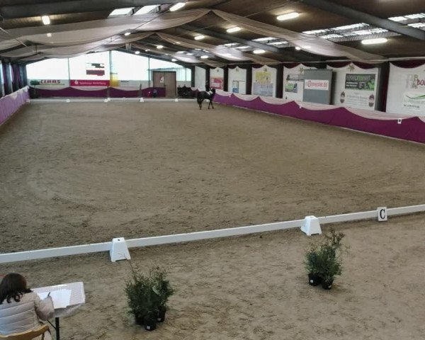 Reitturnier Eppelheim 2020