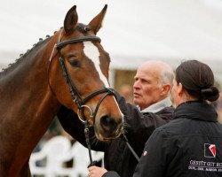 Zuchtstute Fabelfee (Trakehner, 2007, von Insterburg TSF)