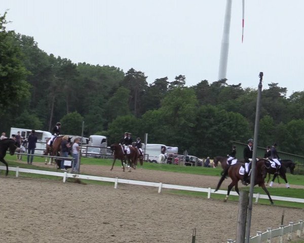 Reitturnier Coesfeld/Lette 2020