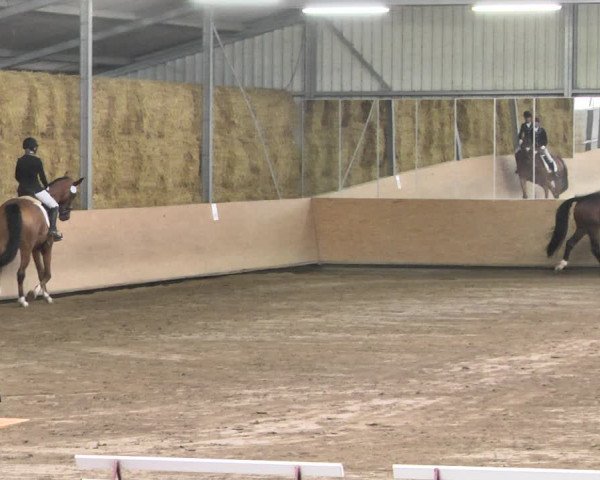 Reitturnier Reitanlage Birkenhof, Perl-Sinz 2020