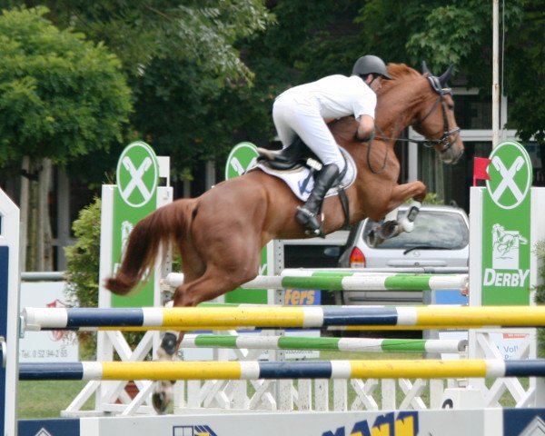 jumper Le Beau R (Hanoverian, 2005, from Le Primeur)