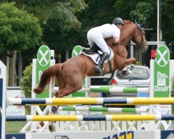 jumper Le Beau R (Hanoverian, 2005, from Le Primeur)