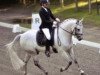 dressage horse Holsteins Nepomuk (German Riding Pony, 2004, from Holsteins Nightlight)