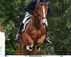 jumper Le Charmeur R (Hanoverian, 2004, from Le Primeur)