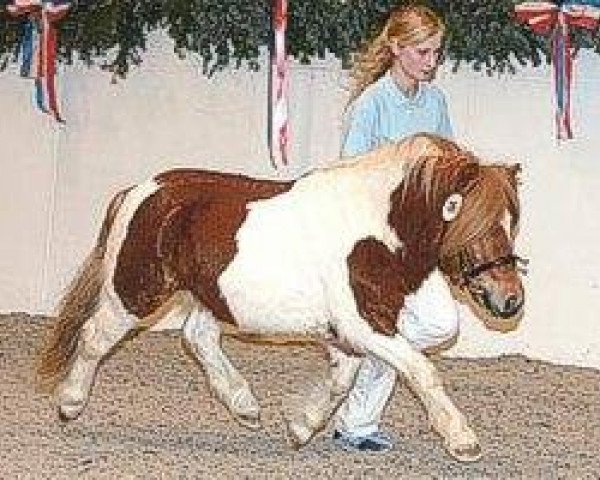 stallion Holsteins Häuptling (Shetland Pony, 2001, from Heros van Heeselt)