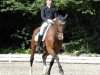 dressage horse Leader W (Hessian Warmblood, 1997, from Lagoheidor G)