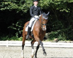 Dressurpferd Leader W (Hessisches Warmblut, 1997, von Lagoheidor G)