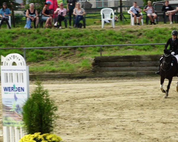 Reitturnier Kirchhoven-Vinn 2021