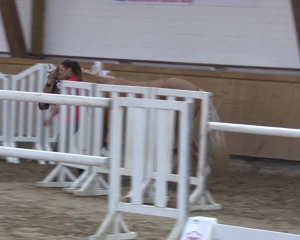 Westfälisches Freispringfinale 2019