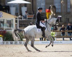 dressage horse Hot Hit OLD Campline (Oldenburg, 2011, from Hotline)