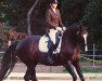 dressage horse Ehrina 2 (Alt Wuerttemberg, 2009, from Ehrmann)