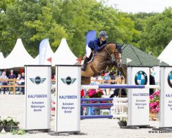 jumper Estella W (KWPN (Royal Dutch Sporthorse), 2009, from Carthino Z)