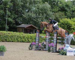 jumper Ciandro (KWPN (Royal Dutch Sporthorse), 2007, from Carthino Z)