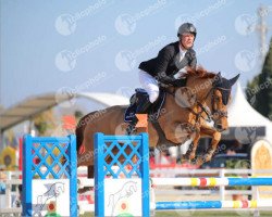 jumper Mine That Bird (KWPN (Royal Dutch Sporthorse), 2007, from Carthino Z)