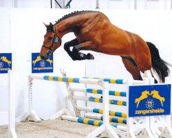 jumper Erato RS (Swedish Warmblood, 2009, from Carthino Z)