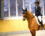 dressage horse Lucky Luck 26 (KWPN (Royal Dutch Sporthorse), 2016, from Galaxie)