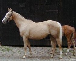 broodmare Mirabelle (Zweibrücken, 1988, from Malteser Gold)