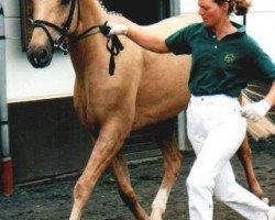 broodmare Michelle (Zweibrücken, 1988, from Malteser Gold)