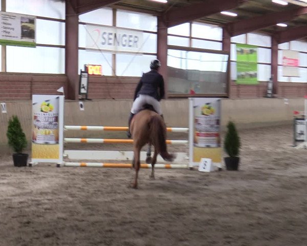 Reitturnier Ostenfelde-Vornholz 2022