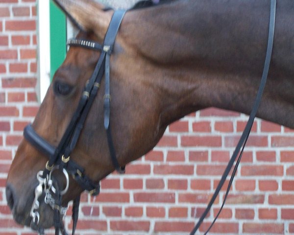 dressage horse Davinia (Hanoverian, 1999, from Del Piero)