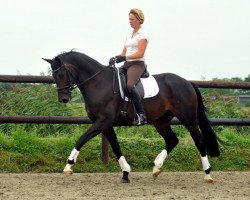 dressage horse Sunny Mood (Oldenburg, 2011, from Symont)