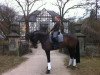 horse Karat HD (Trakehner, 2007, from Black Magic Boy)