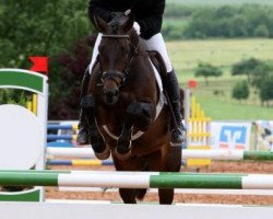 Pferd Handkiss (Trakehner, 2007, von Lions-Club)