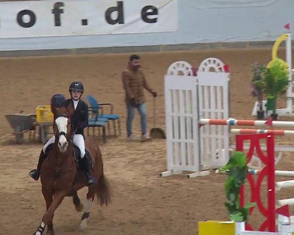 Hallenspringturnier Kreuth 2022