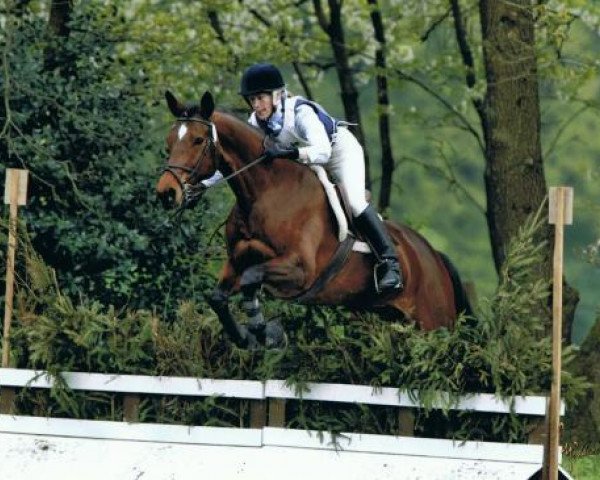 Zuchtstute Adelin S (Trakehner, 2002, von Münchhausen)