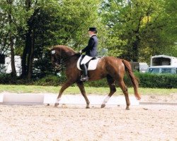 dressage horse Freiherr von Münchhausen (Trakehner, 1999, from Münchhausen)